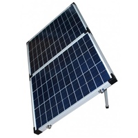 BAINTUFF Foldable Solar Panel (40W x 2 Panels) - includes carry bag